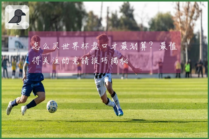 怎么买世界杯盘口才最划算？最值得关注的竞猜技巧揭秘