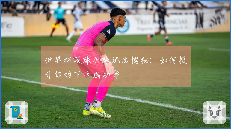 世界杯滚球买球玩法揭秘：如何提升你的下注成功率