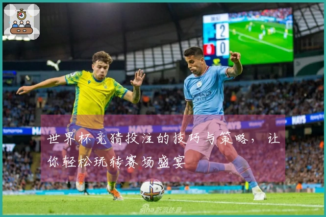 世界杯竞猜投注的技巧与策略，让你轻松玩转赛场盛宴