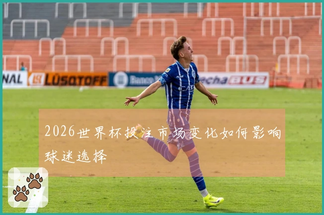 2026世界杯投注市场变化如何影响球迷选择