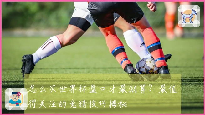 怎么买世界杯盘口才最划算？最值得关注的竞猜技巧揭秘