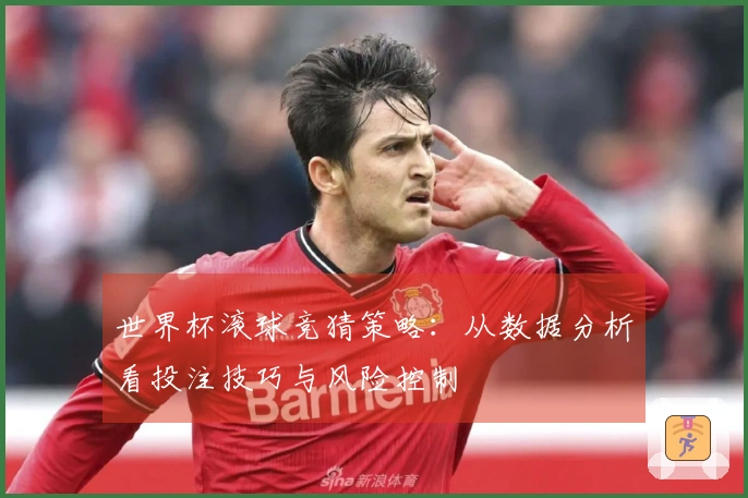 世界杯滚球竞猜策略：从数据分析看投注技巧与风险控制