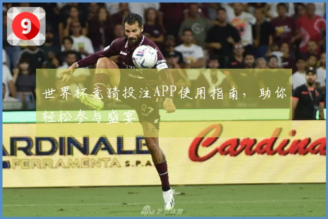 世界杯竞猜投注APP使用指南，助你轻松参与盛宴