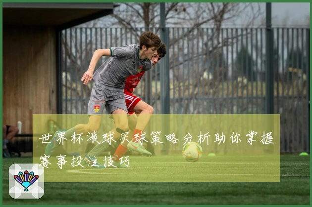 世界杯滚球买球策略分析助你掌握赛事投注技巧