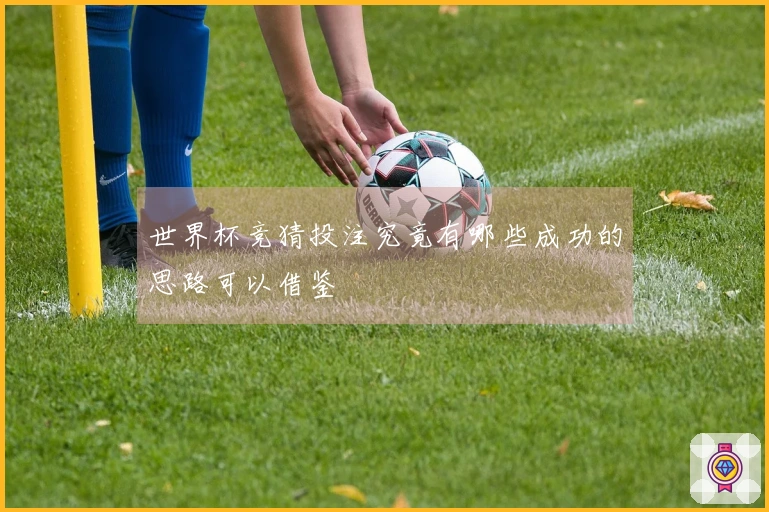 世界杯竞猜投注究竟有哪些成功的思路可以借鉴
