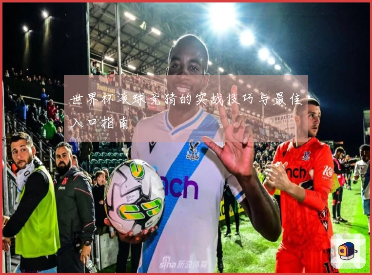 世界杯滚球竞猜的实战技巧与最佳入口指南